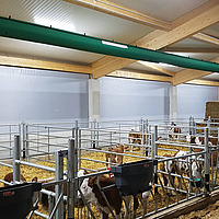 Ventilação em bobinas fechadas no recinto de vitelos