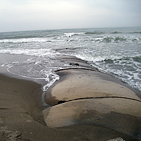 Molhes e quebra-mares na praia para proteção da costa
