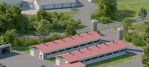 Bem-estar dos animais nas pocilgas - Inovações Lubratec Soluções inovadoras para a suinicultura moderna da Lubratec