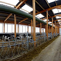 Calf Health Barn com Tubos de Ventilação Lubratec