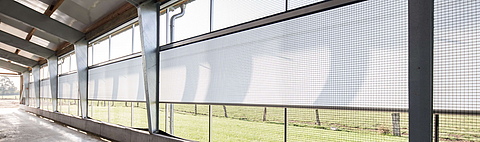 Cortina de abertura de dois painéis para ventilação no celeiro de lacticínios