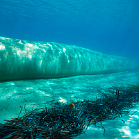 Vista lateral subaquática de um tubo SoilTain