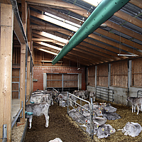 Vista de baixo de um tubo de ar no tecto de um grande estábulo de vacas