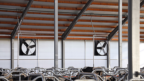 Dois ventiladores axiais Lubratec integrados num estábulo de vacas