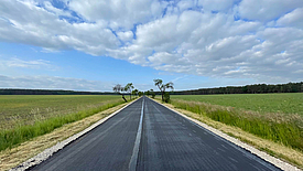 Estrada reforçada com grelha de reforço de asfalto HaTelit