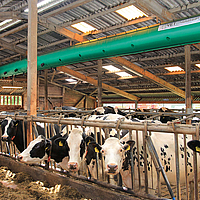 Vista lateral do fundo distante do tubo de ventilação do ar num estábulo de vacas