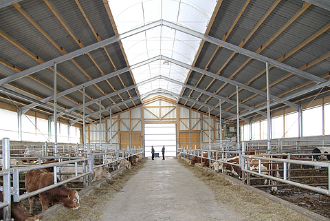 Lubratec® Lichtfirst - Iluminação natural do estábulo e ventilação do estábulo para o bem-estar dos seus animais.