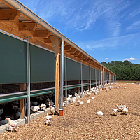 Ventilação envolvente como transição do jardim de inverno para a saída em liberdade para frangos de carne biológicos