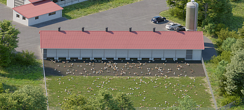 Camada separadora Lubratec para condições de solo ideais na criação de aves Condições óptimas do solo graças à camada separadora Lubratec na criação de aves de capoeira