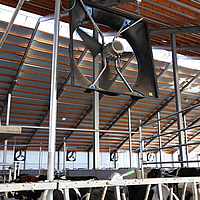 Vista inferior de um ventilador axial incorporado por cima do cercado do estábulo da vaca