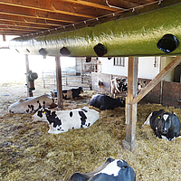 Lubratec Tube Cool montado em vigas de apoio para arrefecimento da ventilação do estábulo de vacas