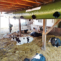 Lubratec Tube Cool montado em vigas de apoio para arrefecimento da ventilação do estábulo de vacas